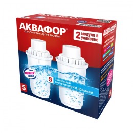 Сменный модуль В5 (В100-5) защита от бактерий (комплект из 2-х штук) в Кирово-Чепецке
